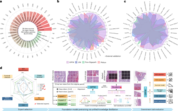 A generalizable pathology foundation model using a unified knowledge distillation pretraining framework