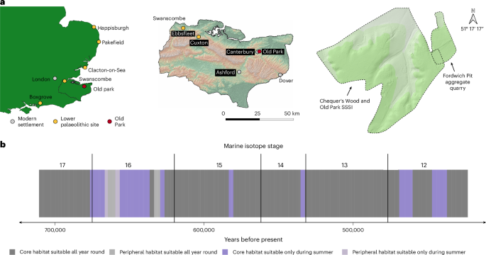 Hominin glacial-stage occupation 712,000 to 424,000 years ago at Fordwich Pit, Old Park (Canterbury, UK)