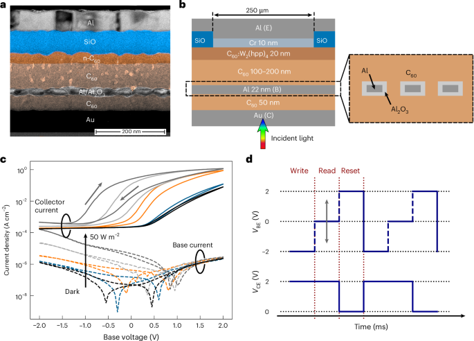 Organic permeable base transistors for high-performance photodetection with photo-memory effect