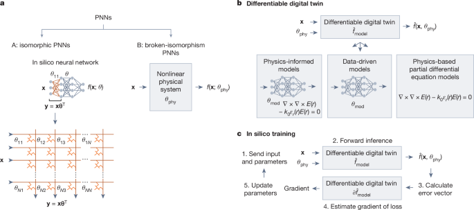 Training of physical neural networks