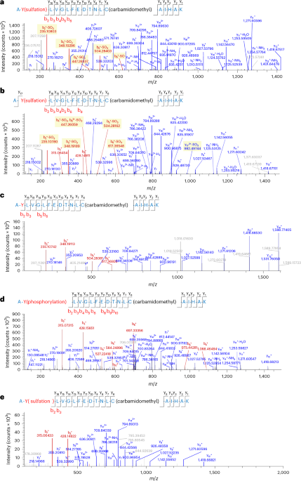 Reply to: Mass spectrometry and enzyme assays refute histone tyrosine sulfation