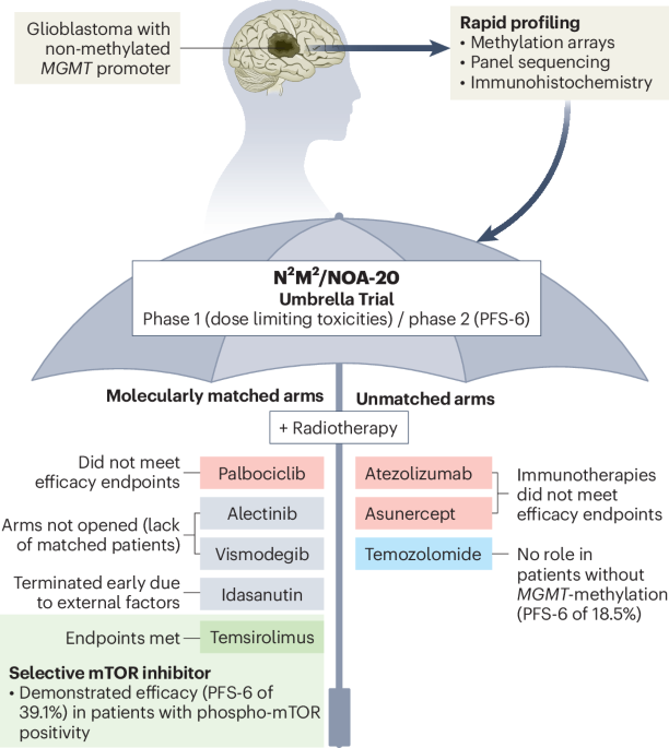 Targeting molecular vulnerabilities in glioblastoma