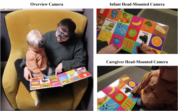 The Shared Book Reading Corpus: An audiovisual collection of 44 multimodal caregiver-infant interactions
