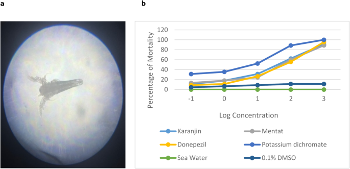 Protective role of Karanjin against bisphenol A-Induced cognitive deficits and oxidative damage in a zebrafish model