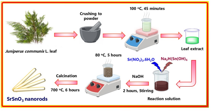 Green synthesis of strontium stannate nanorods using extract of Juniperus communis L.: Structural characterization and evaluation of antibacterial, antifungal, and antioxidant activity