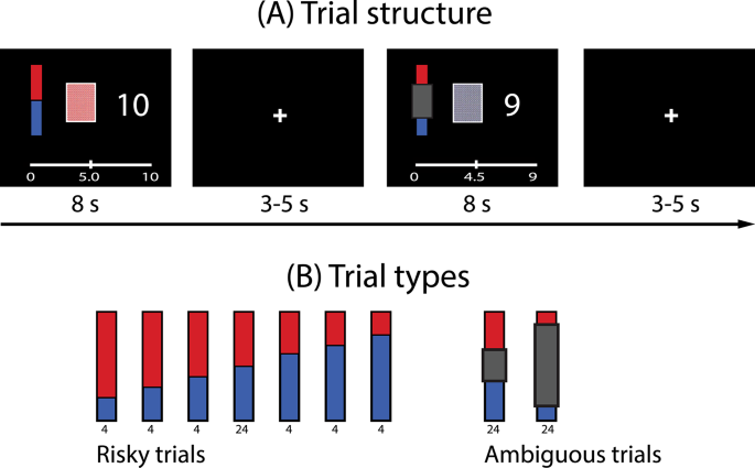 Predicting entrepreneurship from brain structure and neural responses to risk and ambiguity