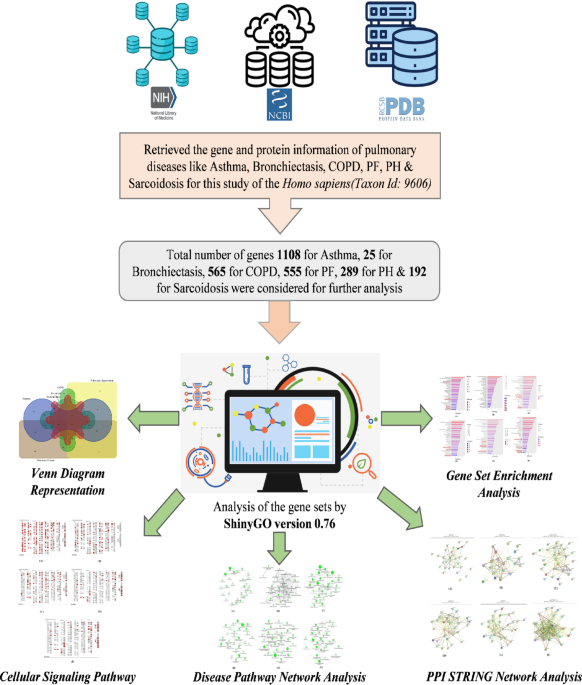 Major pathophysiological changes in pulmonary disease provided a molecular insight based on deep learning approach