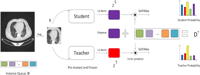 Explainable self-supervised learning for medical image diagnosis based on DINO V2 model and semantic search