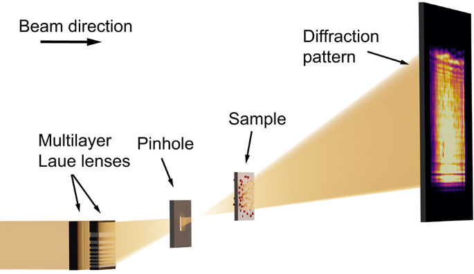 X-ray near-field multi-slice ptychography for in-situ imaging