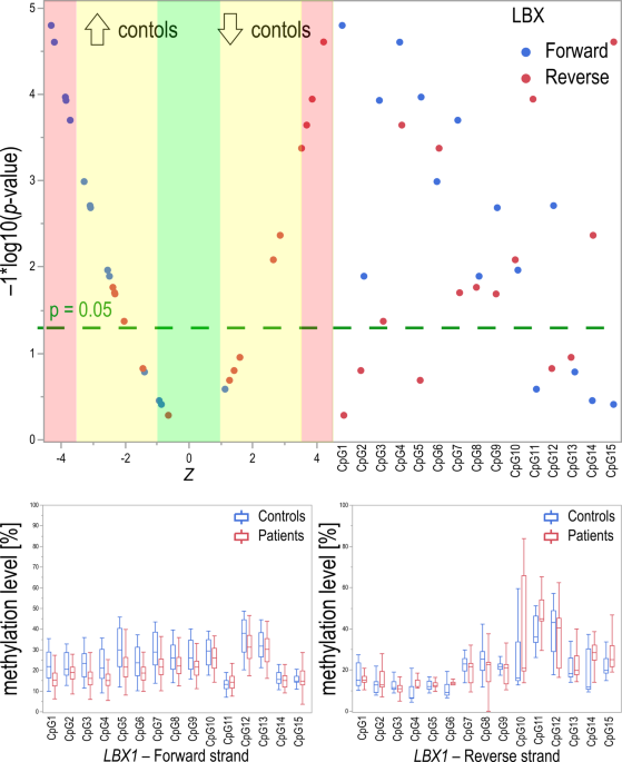 LBX1, ESR1, and ESR2 genes DNA methylation level in idiopathic scoliosis