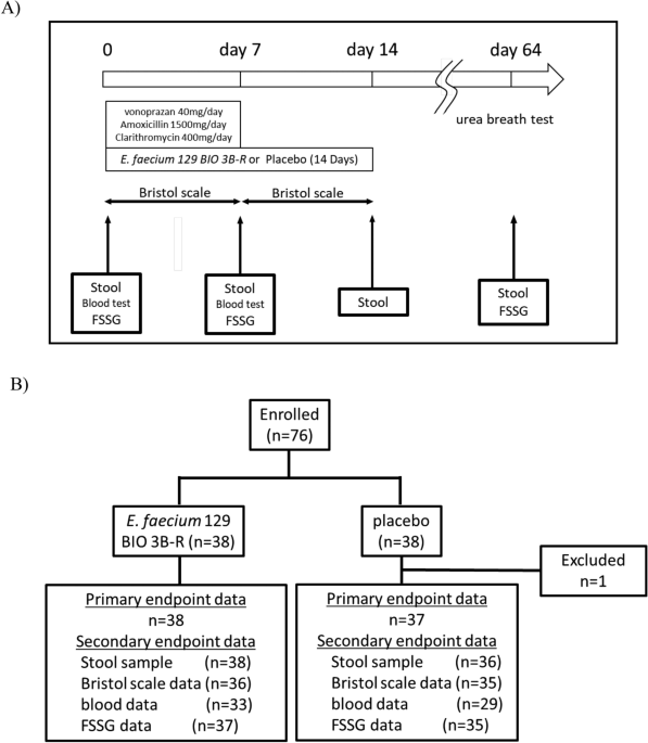 Impact of Enterococcus faecium 129 BIO 3B-R on Helicobacter pylori eradication therapy side effects in adult patients: a randomized, double-blind, placebo-controlled study