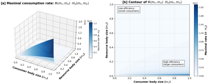 Body sizes of species determining the success of biological control in a three-level food chain