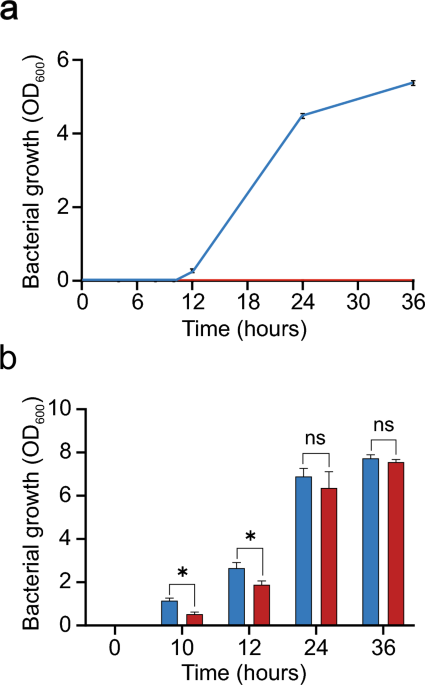 Unveiling the real-time behaviour of Staphylococcus aureus through nanomotion sensing