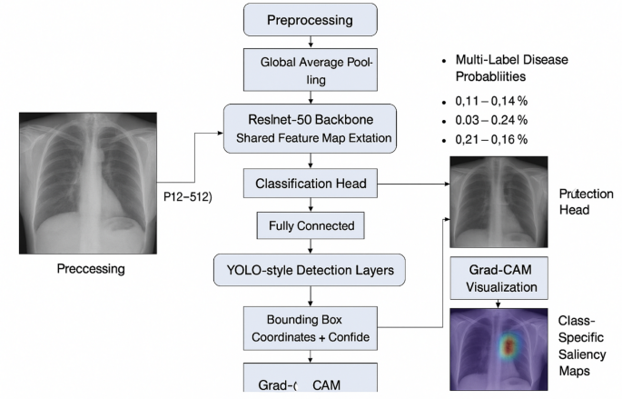 CXR-MultiTaskNet a unified deep learning framework for joint disease localization and classification in chest radiographs