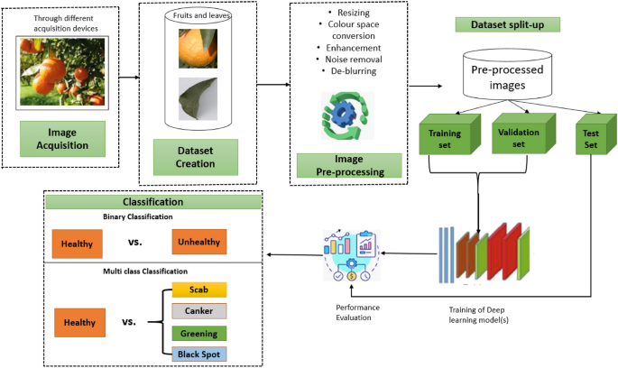 Precision diagnosis of citrus leaf diseases using image enhancement and nonlinear fuzzy ranking ensemble approach NLFuRBe