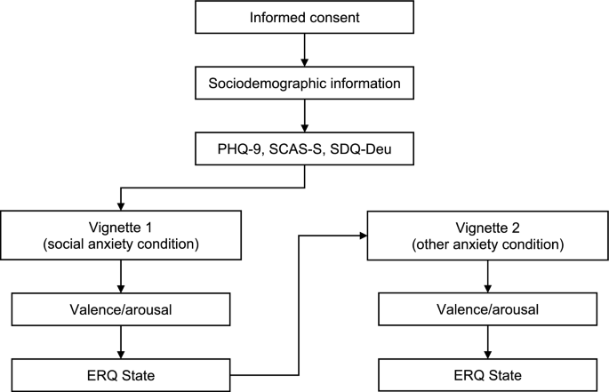 Capturing the dynamics of adolescent emotion regulation in anxiety-inducing situations through development and evaluation of a state emotion regulation questionnaire for adolescents