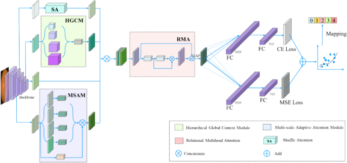 MAFNet: A novel adaptive multi-scale model for fine-grained grading of diabetic retinopathy