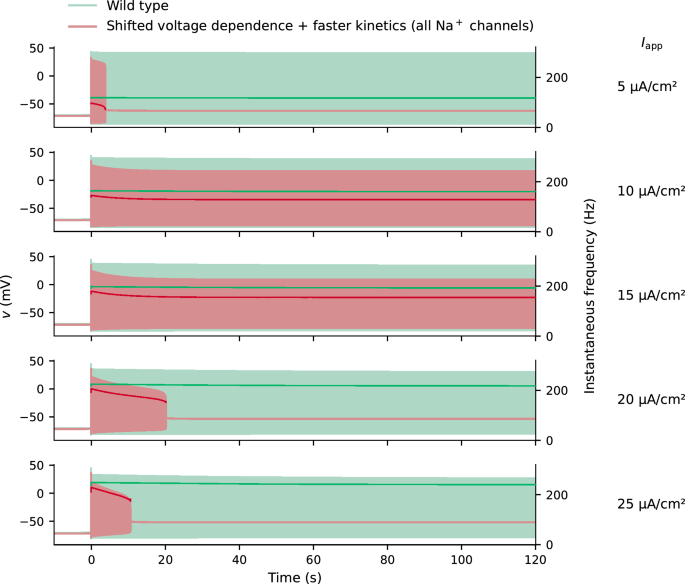Depolarization block induction via slow NaV1.1 inactivation in Dravet syndrome