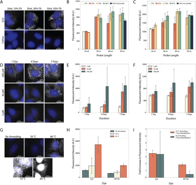 Protocol optimization improves the performance of multiplexed RNA imaging