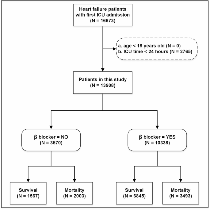 Beta blockers linked to reduced 1-Year mortality in critically ill congestive heart failure patients with differential benefits across subgroups