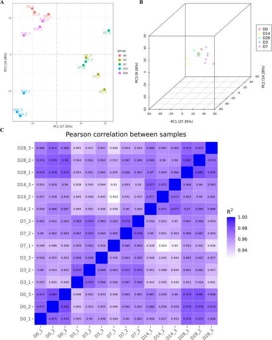Temporal transcriptomic dynamics in rat spinal cord after tibial fracture unveil crosstalk between spinal cord and bone