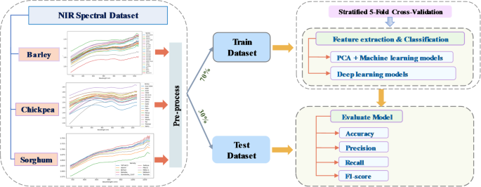 Attention-enhanced residual autoencoder for NIR spectral feature extraction and classification of grain varieties