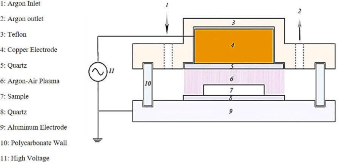 Investigating the effect of dielectric barrier discharge cold plasma on the aflatoxin removal and the physicochemical properties of sesame seeds
