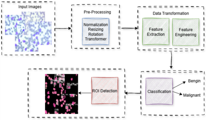 Acute myeloid leukemia classification using ReLViT and detection with YOLO enhanced by adversarial networks on bone marrow images