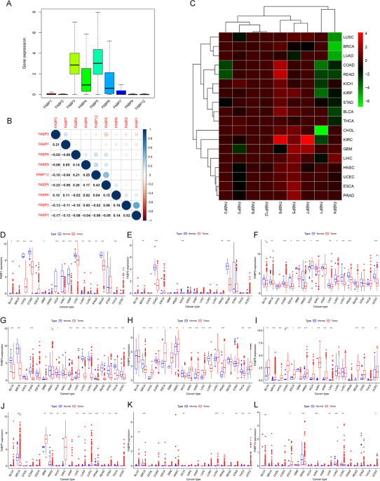 Fatty acid-binding proteins as potential biomarkers for human cancer prognosis