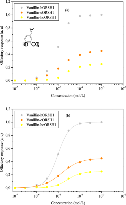 New insights into the docking mechanism of vanillin on three mammalian olfactory receptors via a new statistical physics model