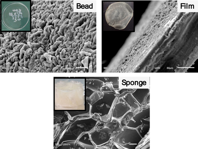 Green synthesis of antimicrobial alginate/hydroxyethyl cellulose hydrogels crosslinked by Ca2+ and dual Ca2+/Mg2+