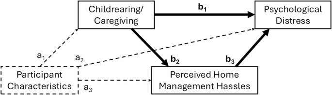 Psychometric validity of the Perceived Home Management Hassles Scale