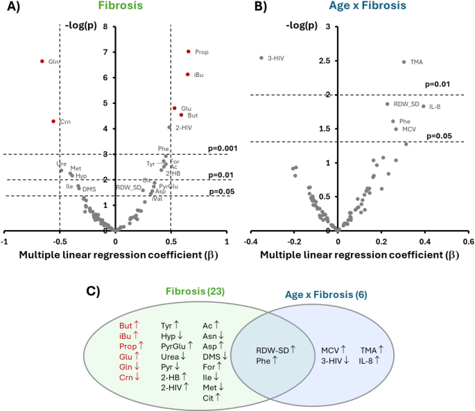 A potential age-independent MASLD-related liver fibrosis index based on metabolic profiling