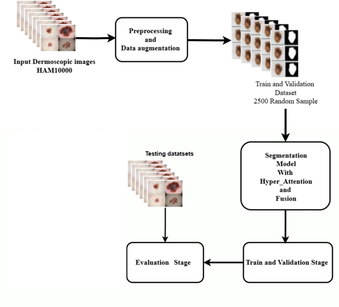 H-fusion SEG: dual-branch hyper-attention fusion network with SAM integration for robust skin disease segmentation