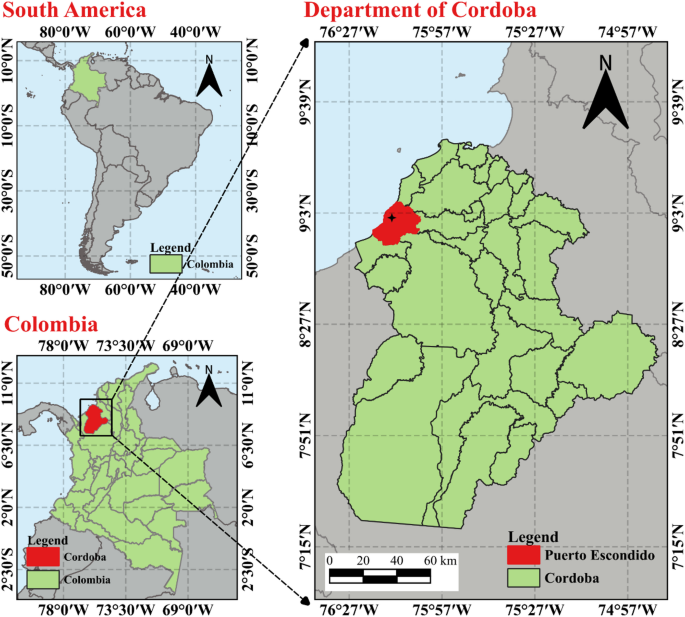 Effects of drying temperature, mercerizing, and coating on the properties of Colombian Coir fibers and their interfacial adhesion with polylactic acid