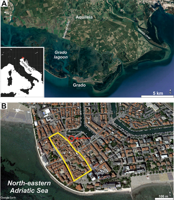 Discovery of Roman and early medieval palisades in Grado (Italy) constraining relative sea level and paleoenvironment in the northern Adriatic Sea
