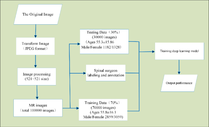 MRI grading of lumbar disc herniation based on AFFM-YOLOv8 system
