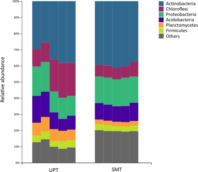A novel two-step metabarcoding approach improves soil microbiome biodiversity assessment