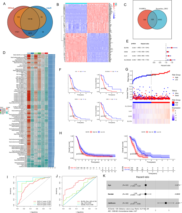 BLVRA promotes glioblastoma progression by regulating fatty acid metabolism