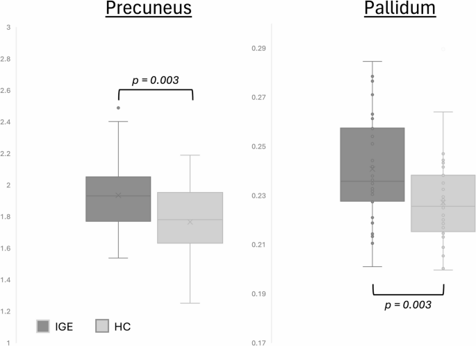 Increased volumes of the precuneus and the pallidum in idiopathic generalized epilepsy