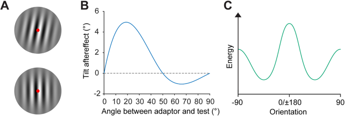 Investigating orientation adaptation following naturalistic film viewing