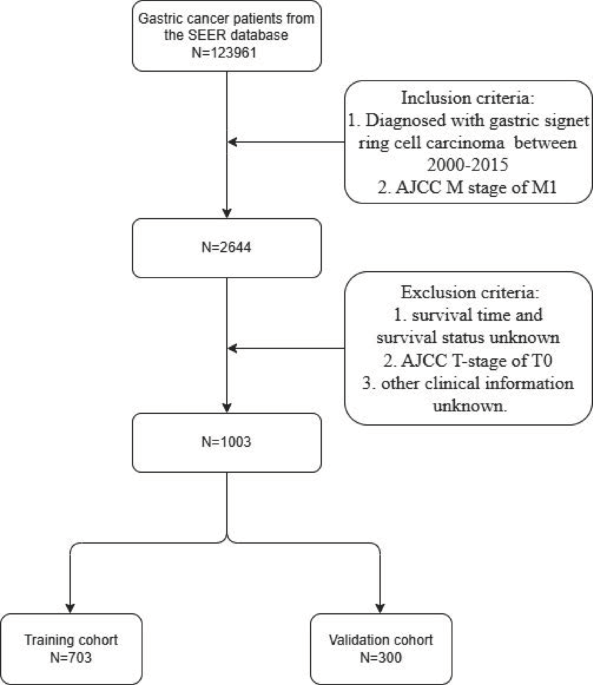 Individualized prediction tool for patients with metastatic gastric signet cell carcinoma