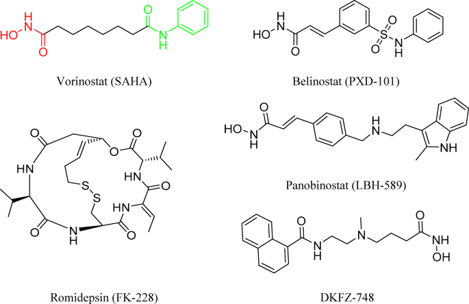 Novel selective indole based histone deacetylase 10 inhibitors as anticancer therapeutics