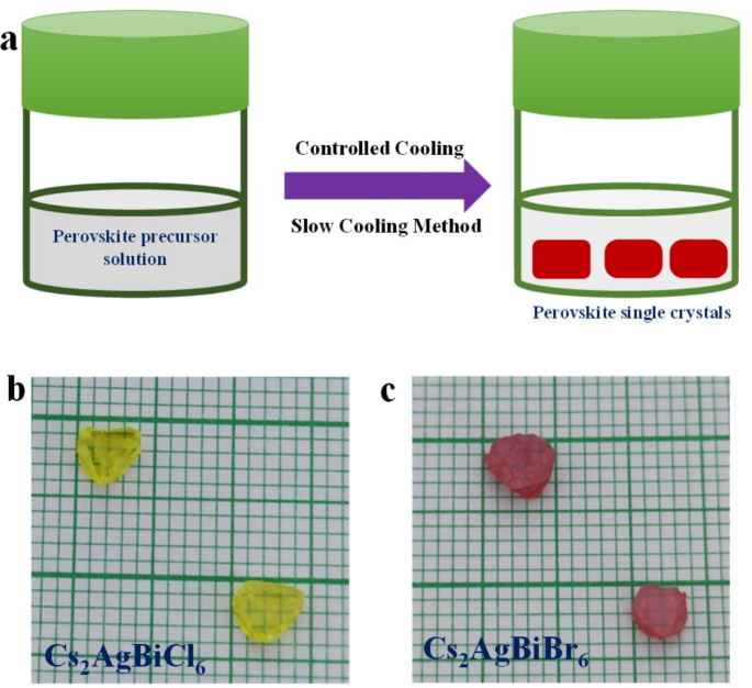 Impact of halide variation on the optoelectronic properties of double perovskites
