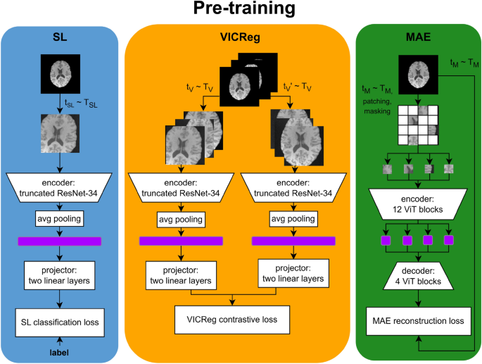 Comparative analysis of supervised and self-supervised learning with small and imbalanced medical imaging datasets