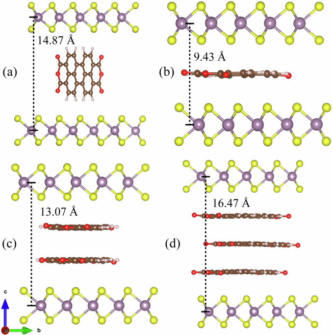 Ab initio elucidation of PTCDA intercalation mechanism in MoS2 bilayer