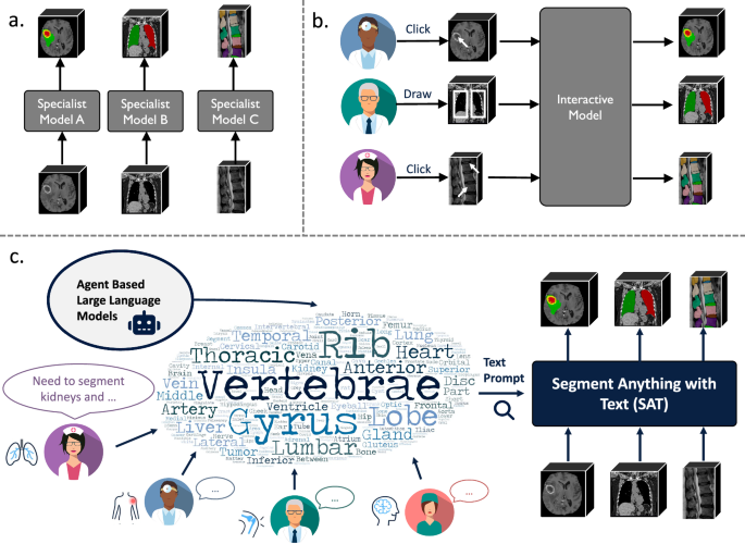 Large-vocabulary segmentation for medical images with text prompts
