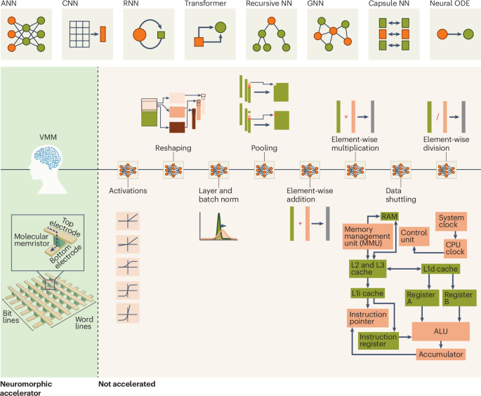 Neuromorphic pathways for transforming AI hardware