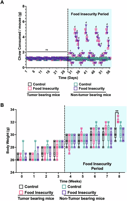 Food insecurity impacts neuroblastoma pathogenesis in murine xenograft tumor models