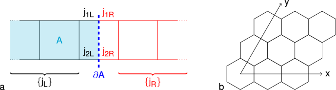 Entanglement properties of SU(2) gauge theory